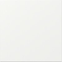 Gira Wippe 349627 gerade Sys.55 rws m