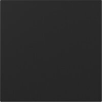 Gira Wippe 3496005 gerade Sys.55 sw m