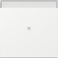 Gira Wippe 367003 Kontrollf.+BSF Sys.55 rws
