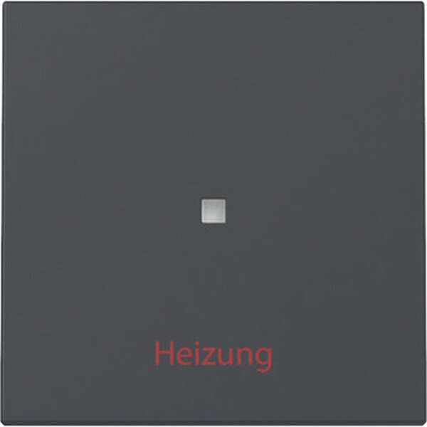 Gira Wippe Kontrollf.+Heizung Ein/Aus Sys.55 anthr