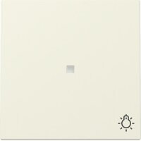 Gira Wippe 367401 Kontrollf.+Symb.Licht Sys.55 cws