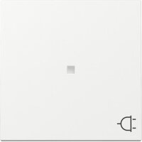 Gira Wippe 329103 Kontrollf.+Symb.Steckd.Sys.55 rws