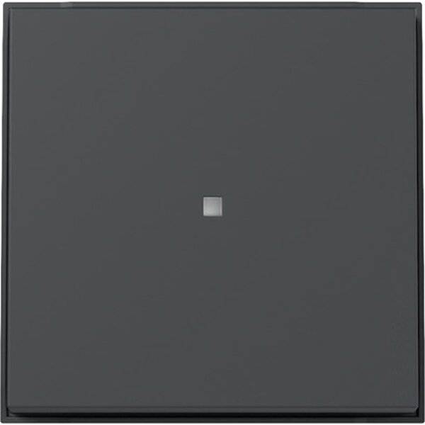 Gira Wippe 329067 Kontrollf.TX44 WG UP anthr