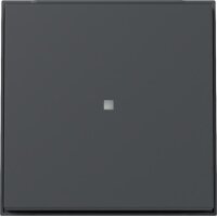 Gira Wippe 329067 Kontrollf.TX44 WG UP anthr