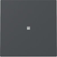 Gira Wippe 329028 Kontrollf.Sys.55 anthr