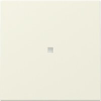 Gira Wippe 329001 Kontrollf.Sys.55 cws