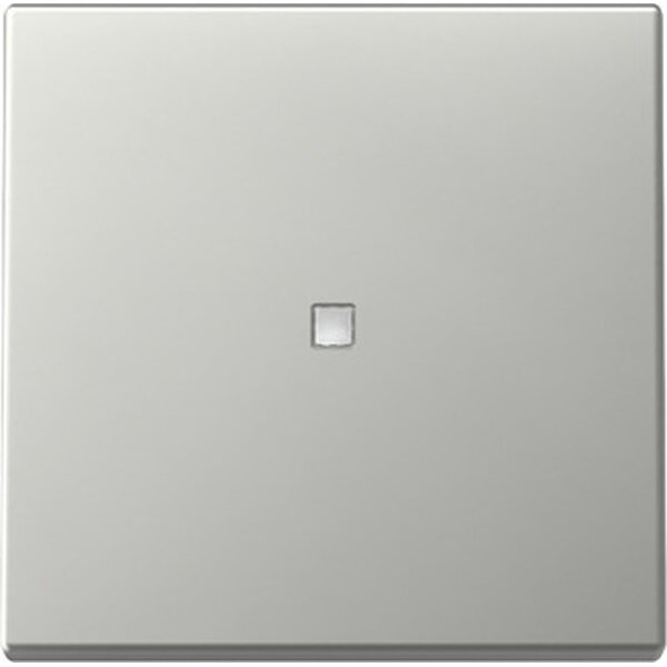Gira Wippe 3290600 Kontrollf.Sys.55 es