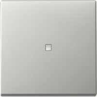 Gira Wippe 3290600 Kontrollf.Sys.55 es