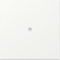 Gira Wippe 329027 Kontrollf.Sys.55 rws m
