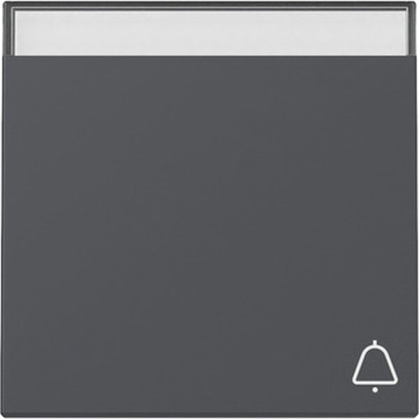 Gira Wippe 367328 Symb.Klingel+BSF Sys.55 anthr