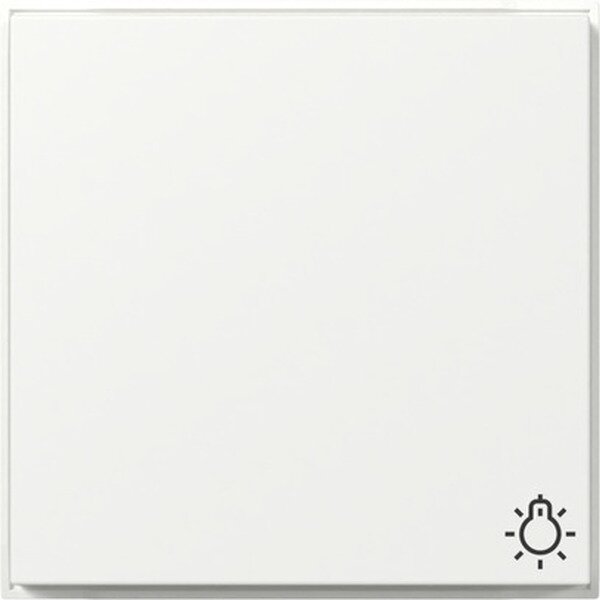 Gira Wippe 328566 Symb.Licht TX44 WG UP rws