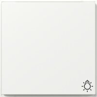 Gira Wippe 328566 Symb.Licht TX44 WG UP rws