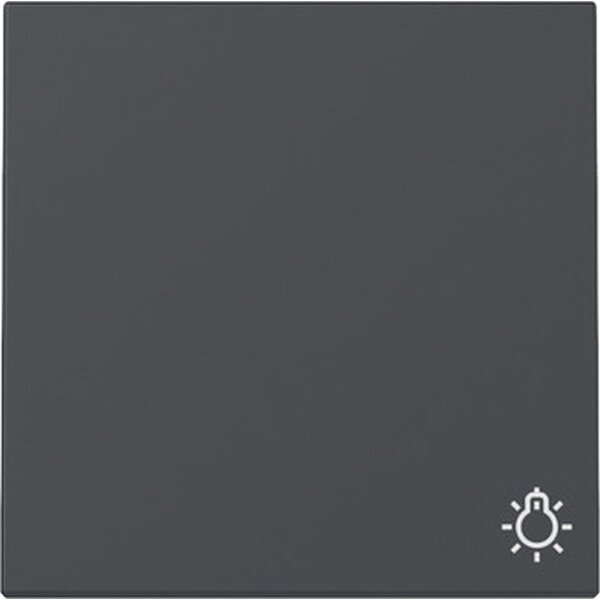 Gira Wippe 328528 Symb.Licht Sys.55 anthr