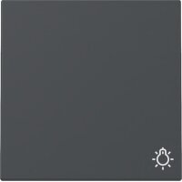 Gira Wippe 328528 Symb.Licht Sys.55 anthr