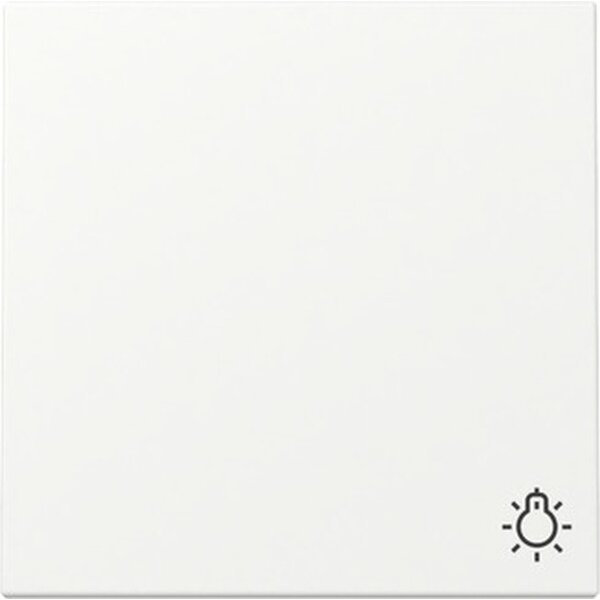Gira Wippe 328527 Symb.Licht Sys.55 rws m