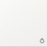 Gira Wippe 328527 Symb.Licht Sys.55 rws m
