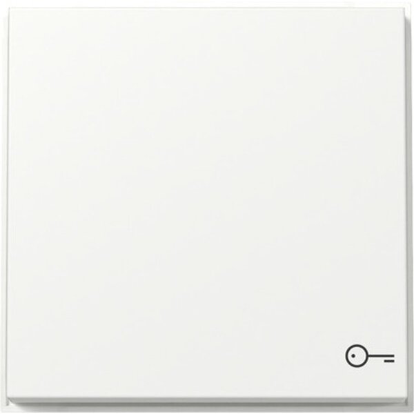 Gira Wippe 328766 Symb.Tür TX44 WG UP rws