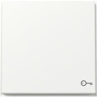 Gira Wippe 328766 Symb.Tür TX44 WG UP rws