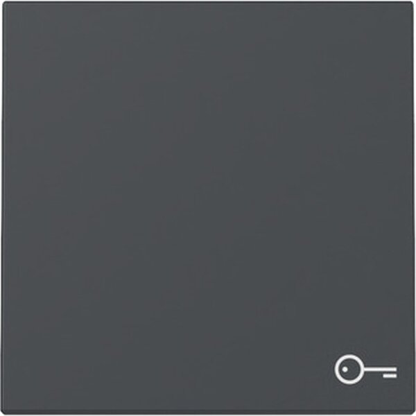 Gira Wippe 328728 Symb.Tür Sys.55 anthr