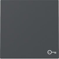 Gira Wippe 328728 Symb.Tür Sys.55 anthr