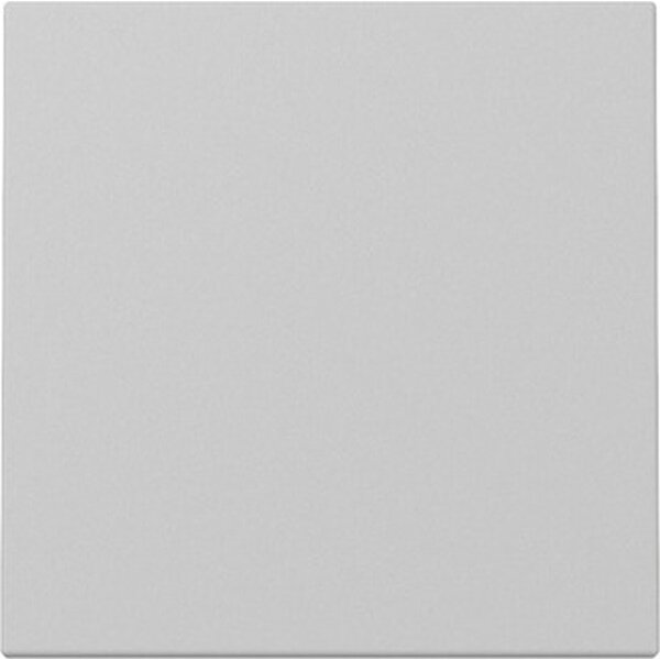 Gira Wippe 3296015 Sys.55 gr m