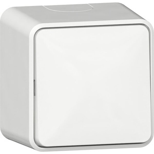 Gira Wippschalter 310613 AusWe AP rws