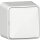 Gira Wippschalter 310613 AusWe AP rws