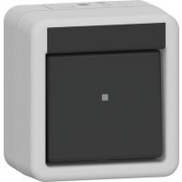 Gira Wippschalter 310730 Kreuz WG AP gr