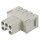 Harting Buchsenkontakt 09140052716 Han ES Modul