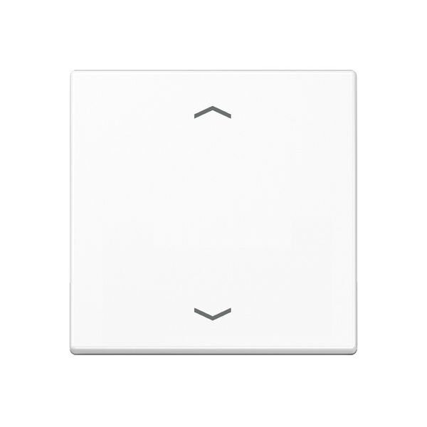 Jung Wippe A101PBFWW f.-Pfeile