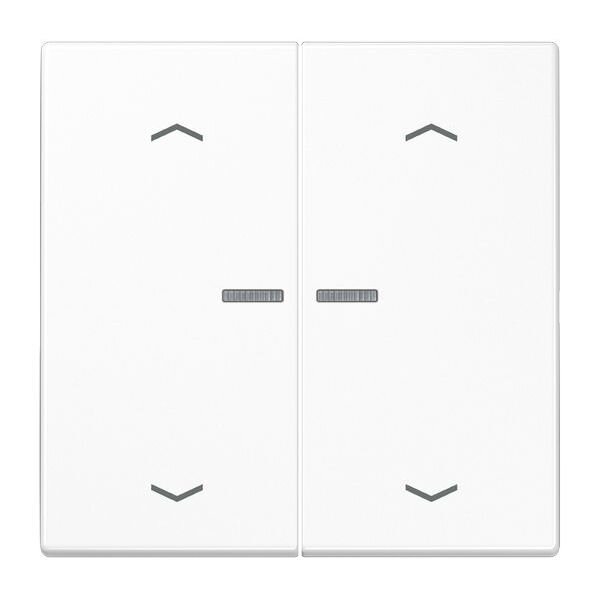 Jung Taster BTLS17102PWW HOME 2-f.m.Pfs.