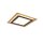 Trio LED-Deckenleuchte LB24 Morgan schwarz-gold