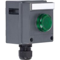 Stahl Befehls- und Meldegerät 8040/1180X-01L50BA05...