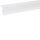 TEHALIT Sockelleistenkanal SL2005709010 20x50 reinweiss