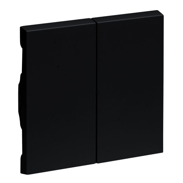 Legrand Serienwippe SEANO sw