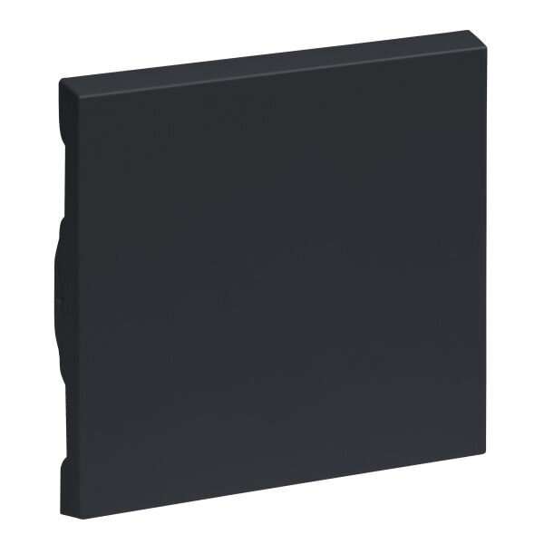 Legrand Wippe SEANO Wechselschalter anthr