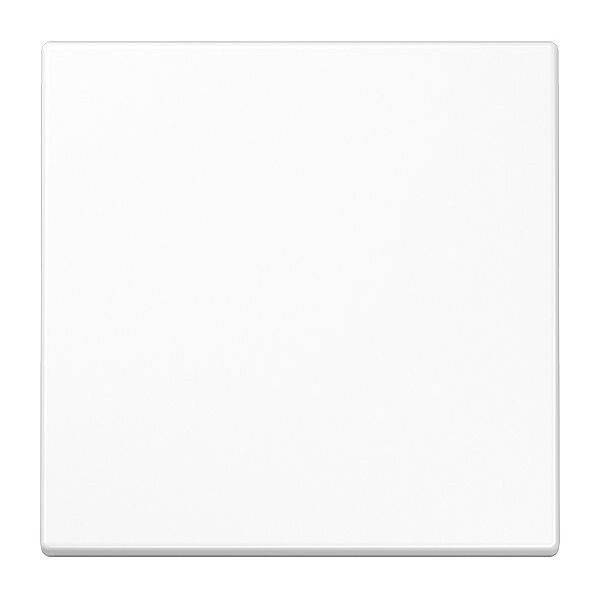 JUNG Wippe LS990WW für Schalter/Taster