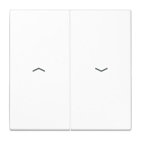 JUNG Serienwippe LS995PWW für Jalousie-Schalter/-Taster