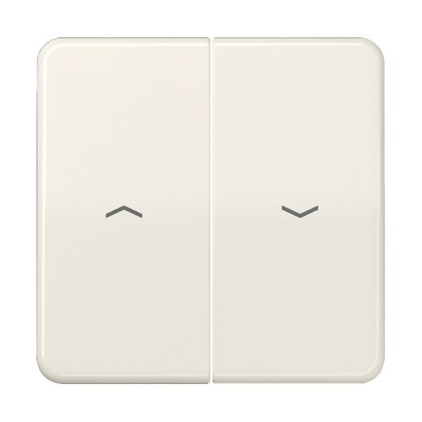 JUNG Serienwippe CD595P