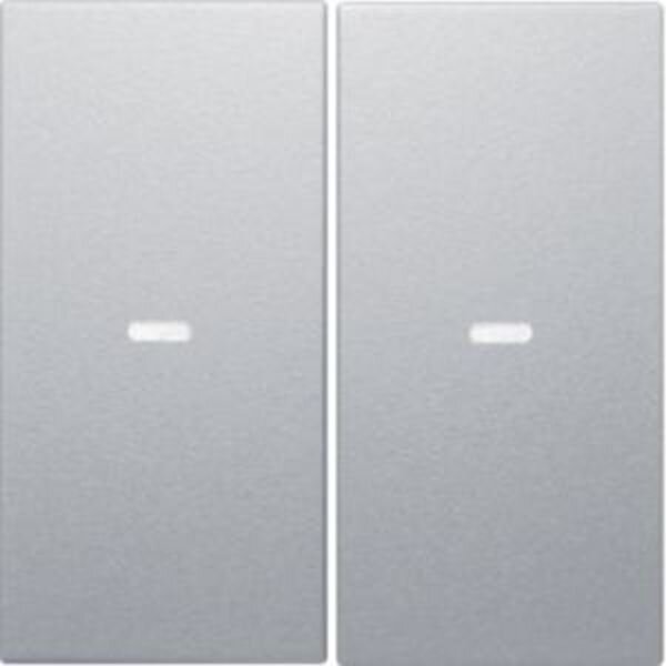 Berker Tast-Abdeckung 80960383 S.x 2fach alu
