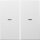 Berker Tast-Abdeckung 80960399 S.x 2fach polarweiss matt