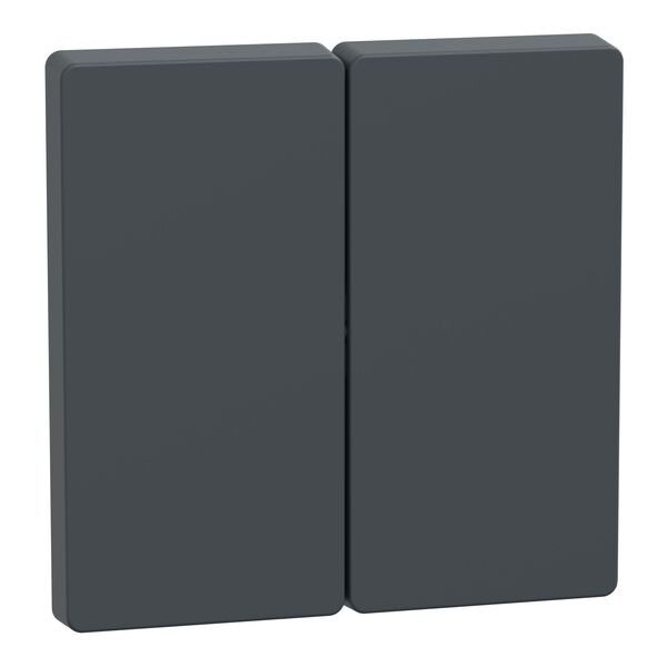 Merten Wippe Anthrazit System Design