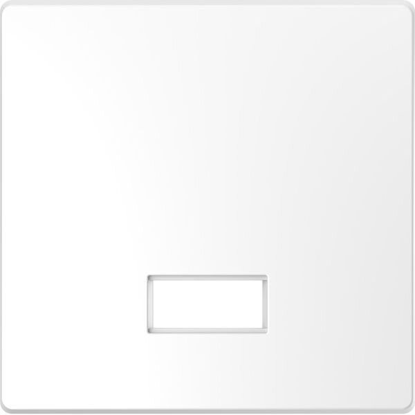 Merten Wippe Lotosweiss System Design