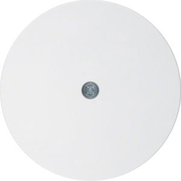Berker Zentralstück 10192089 polarweiss glänzend