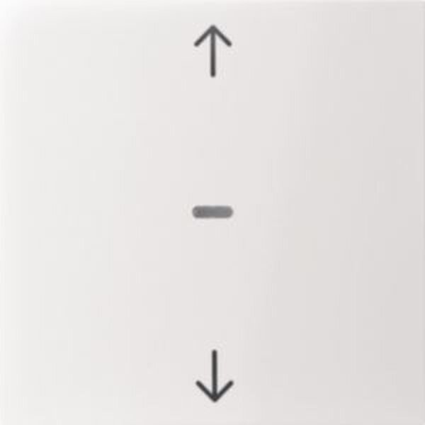 Berker Abdeckung 80961289 f. Tastm. 1fach S.1/B.x pw