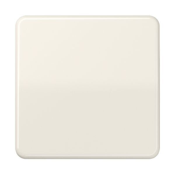 JUNG Wippe CD590BF für Schalter/Taster