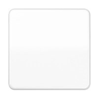 JUNG Wippe CD590BFWW für Schalter/Taster