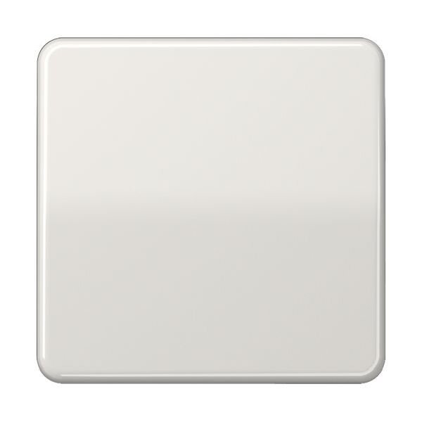 JUNG Wippe CD590LG für Schalter/Taster