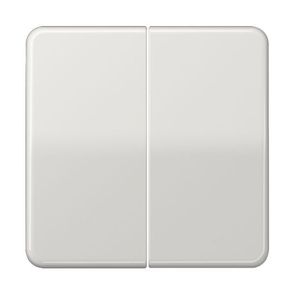 JUNG Serienwippe CD595LG
