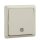 ELSO UP-Taster 252130 beleuchtet 10A RENOVIERUNG pw